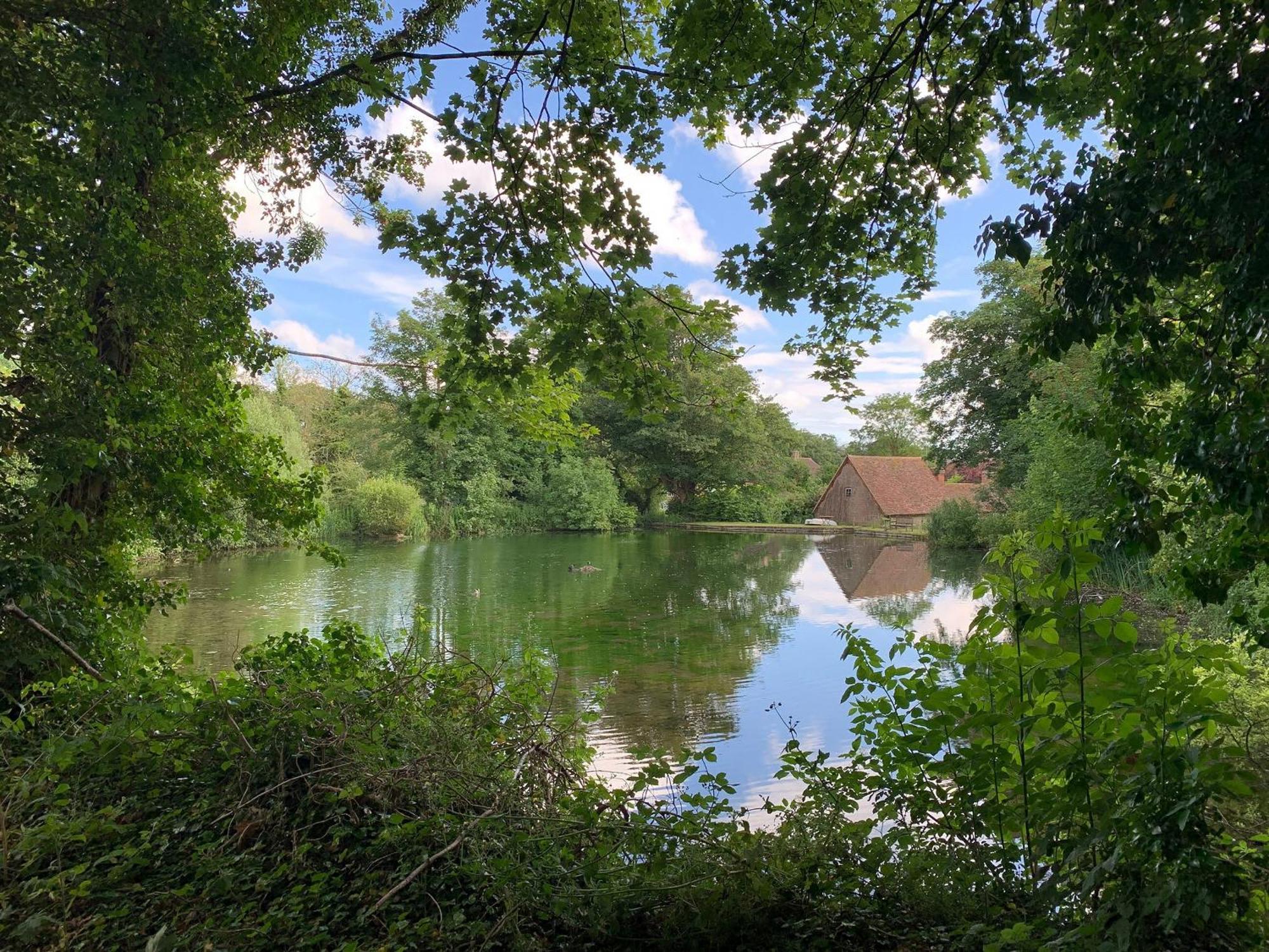 Moorhen Cottage Hollingbourne Dış mekan fotoğraf
